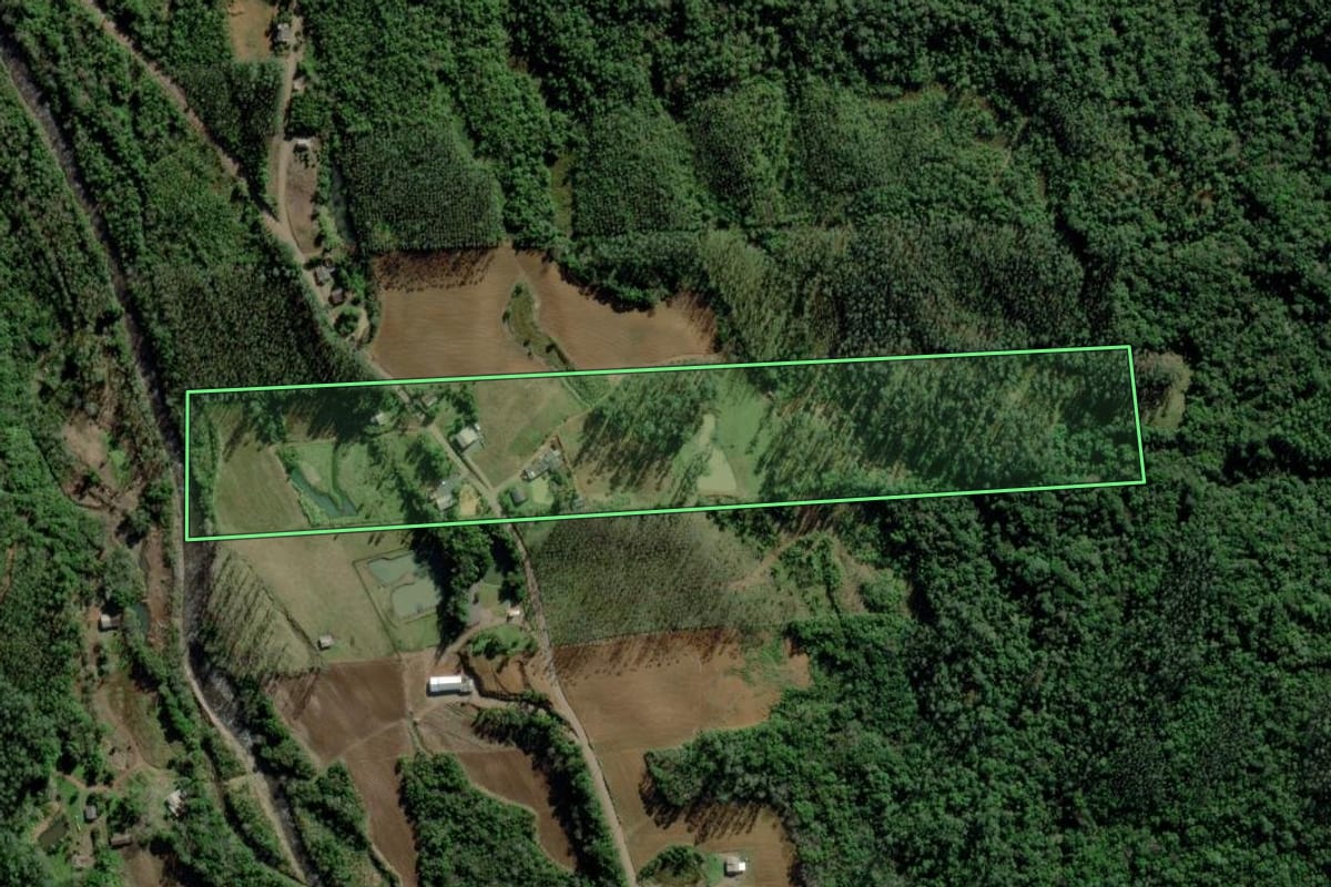 Imagem de satélite do imóvel rural em Timbé do Sul (SC), com o contorno declarado no CAR desenhado por cima.
