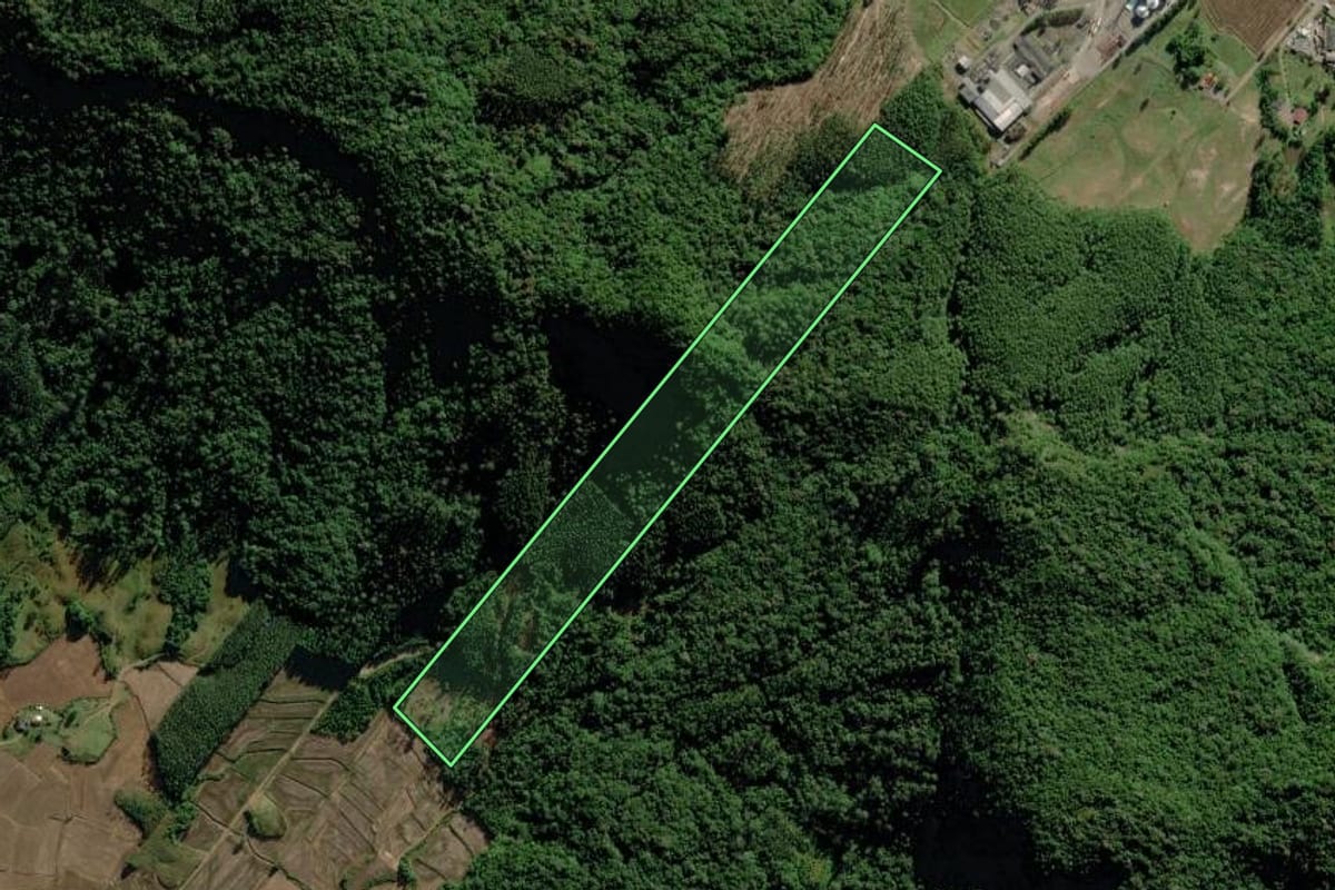 Imagem de satélite do imóvel rural em Timbé do Sul (SC), com o contorno declarado no CAR desenhado por cima.