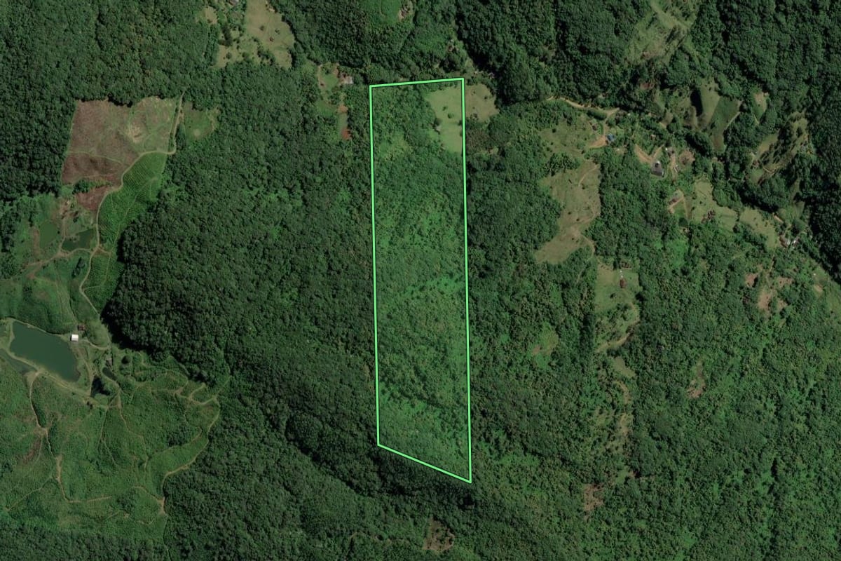 Imagem de satélite do imóvel rural em Timbó (SC), com o contorno declarado no CAR desenhado por cima.