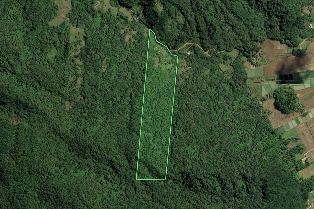 Imagem de satélite do imóvel rural em Timbó (SC), com o contorno declarado no CAR desenhado por cima.