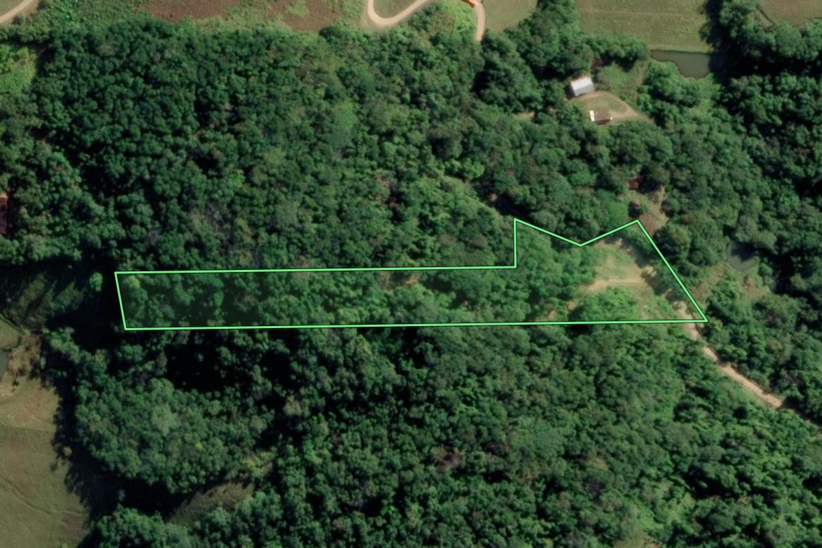 Imagem de satélite do imóvel rural em Timbó (SC), com o contorno declarado no CAR desenhado por cima.