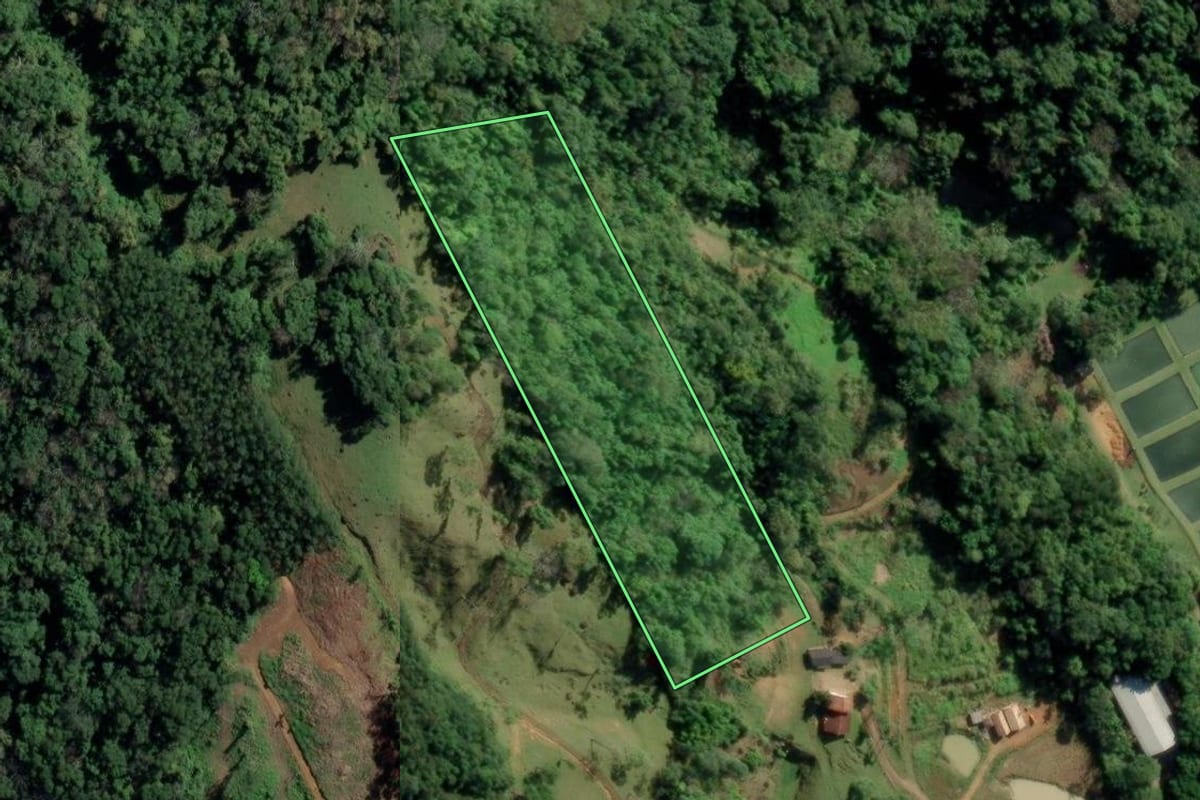 Imagem de satélite do imóvel rural em Timbó (SC), com o contorno declarado no CAR desenhado por cima.