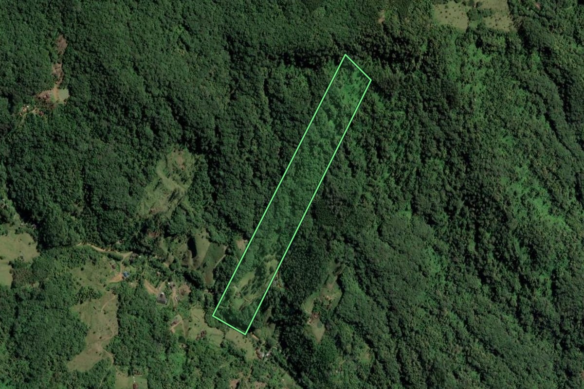 Imagem de satélite do imóvel rural em Timbó (SC), com o contorno declarado no CAR desenhado por cima.