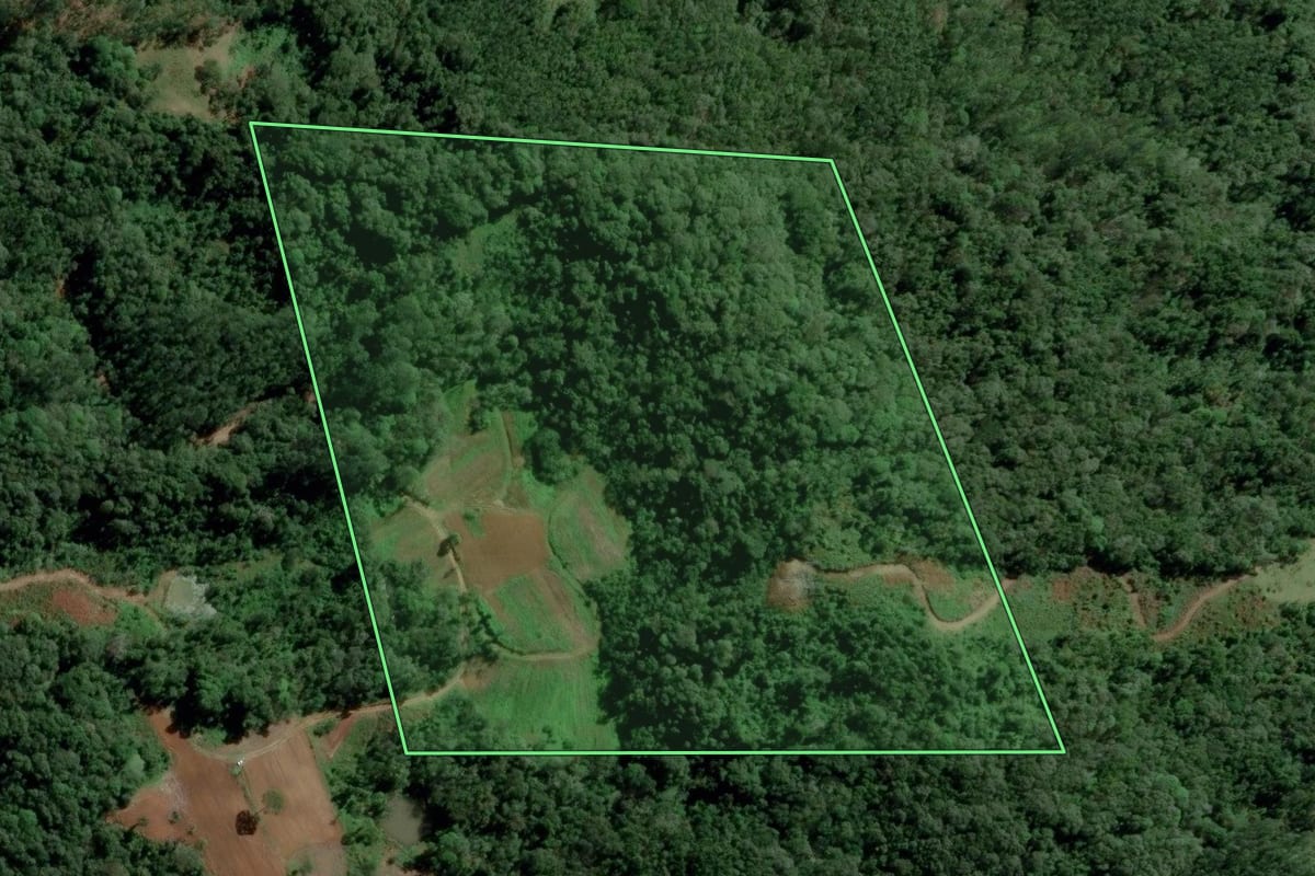 Imagem de satélite do imóvel rural em Timbó (SC), com o contorno declarado no CAR desenhado por cima.