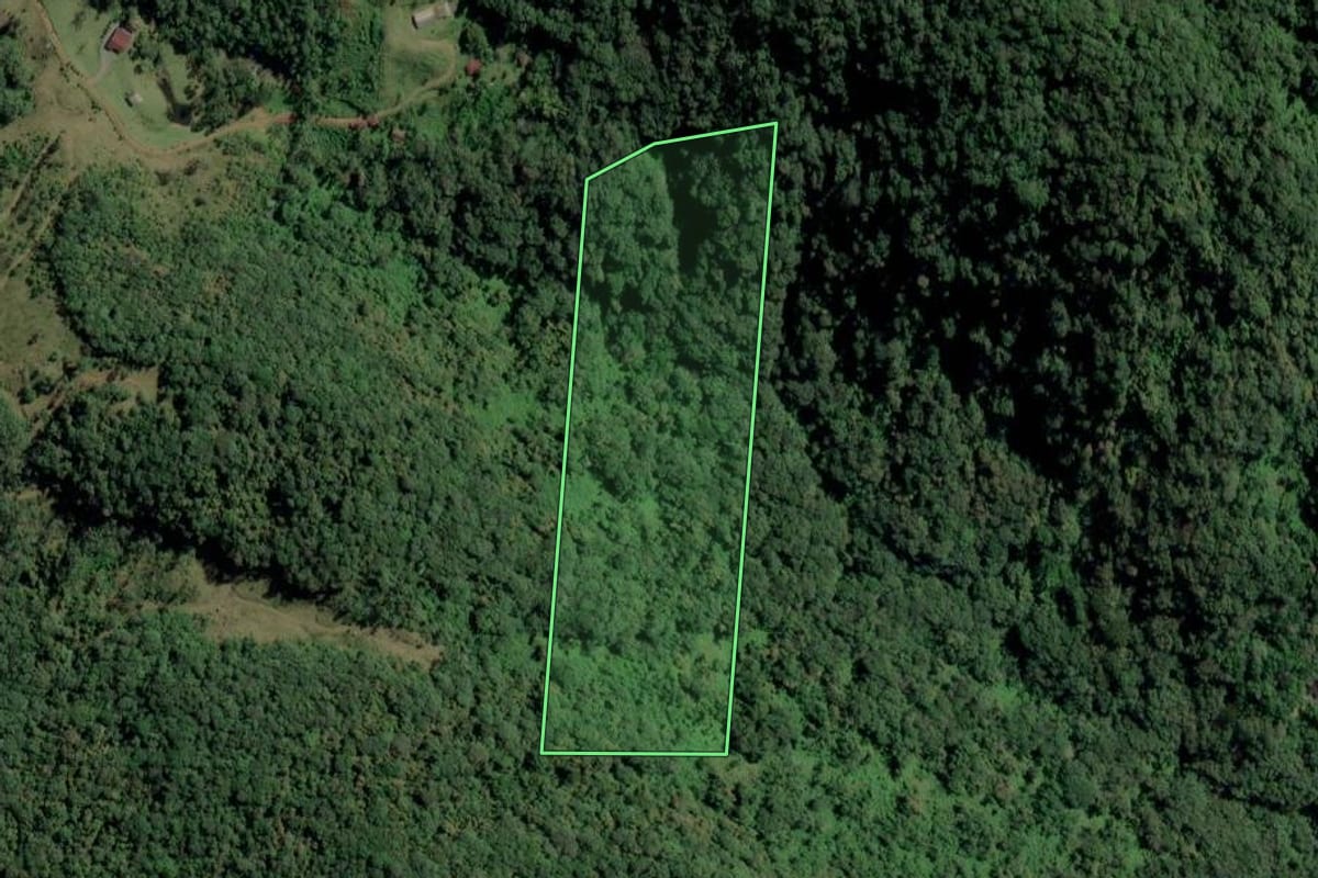 Imagem de satélite do imóvel rural em Timbó (SC), com o contorno declarado no CAR desenhado por cima.