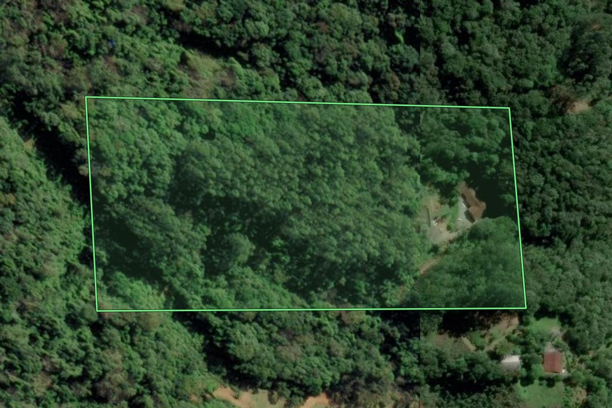Imagem de satélite do imóvel rural em Timbó (SC), com o contorno declarado no CAR desenhado por cima.