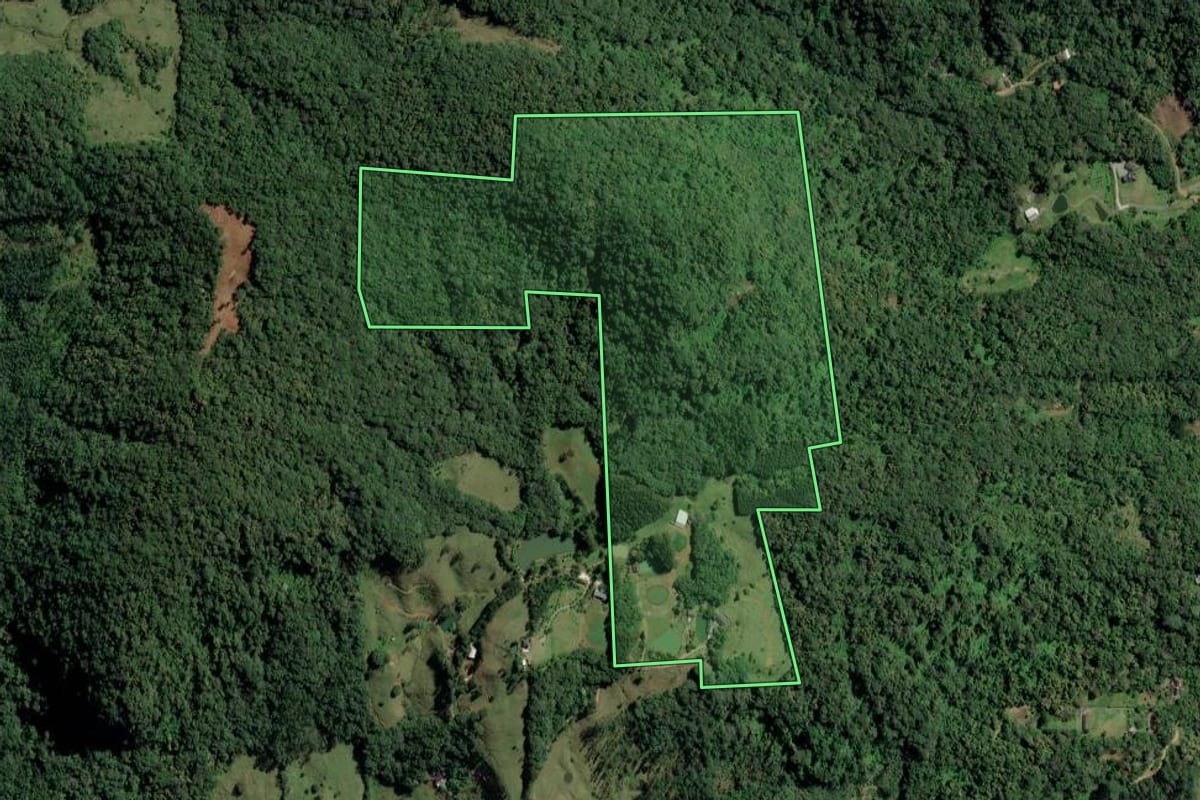 Imagem de satélite do imóvel rural em Timbó (SC), com o contorno declarado no CAR desenhado por cima.