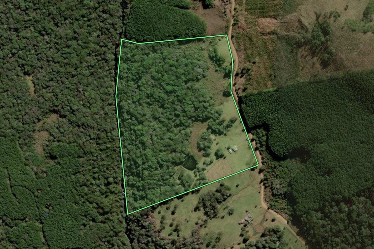 Imagem de satélite do imóvel rural em Timbó Grande (SC), com o contorno declarado no CAR desenhado por cima.