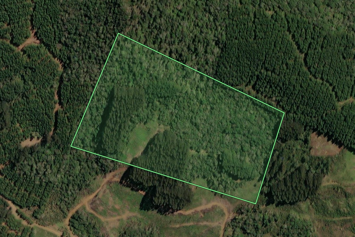 Imagem de satélite do imóvel rural em Timbó Grande (SC), com o contorno declarado no CAR desenhado por cima.