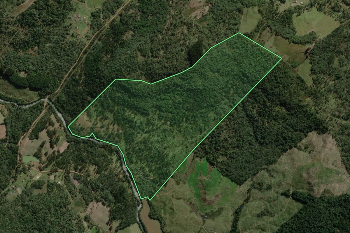 Imagem de satélite do imóvel rural em Timbó Grande (SC), com o contorno declarado no CAR desenhado por cima.