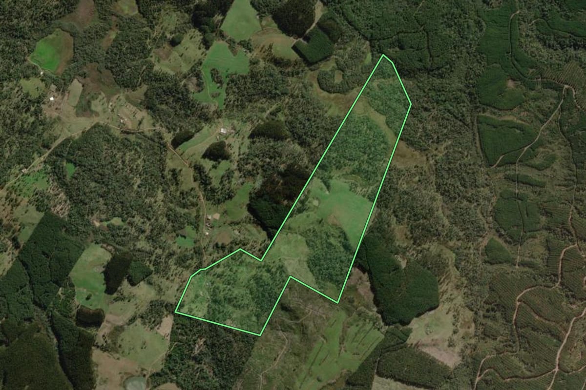 Imagem de satélite do imóvel rural em Timbó Grande (SC), com o contorno declarado no CAR desenhado por cima.