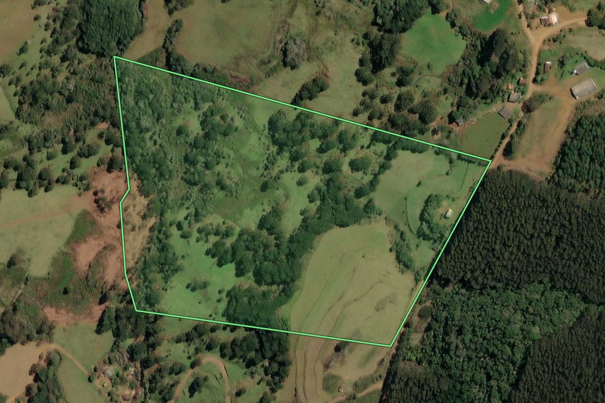 Imagem de satélite do imóvel rural em Timbó Grande (SC), com o contorno declarado no CAR desenhado por cima.