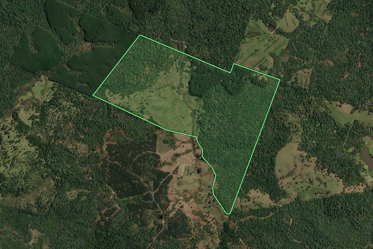 Imagem de satélite do imóvel rural em Timbó Grande (SC), com o contorno declarado no CAR desenhado por cima.
