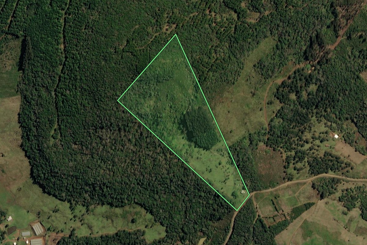 Imagem de satélite do imóvel rural em Timbó Grande (SC), com o contorno declarado no CAR desenhado por cima.