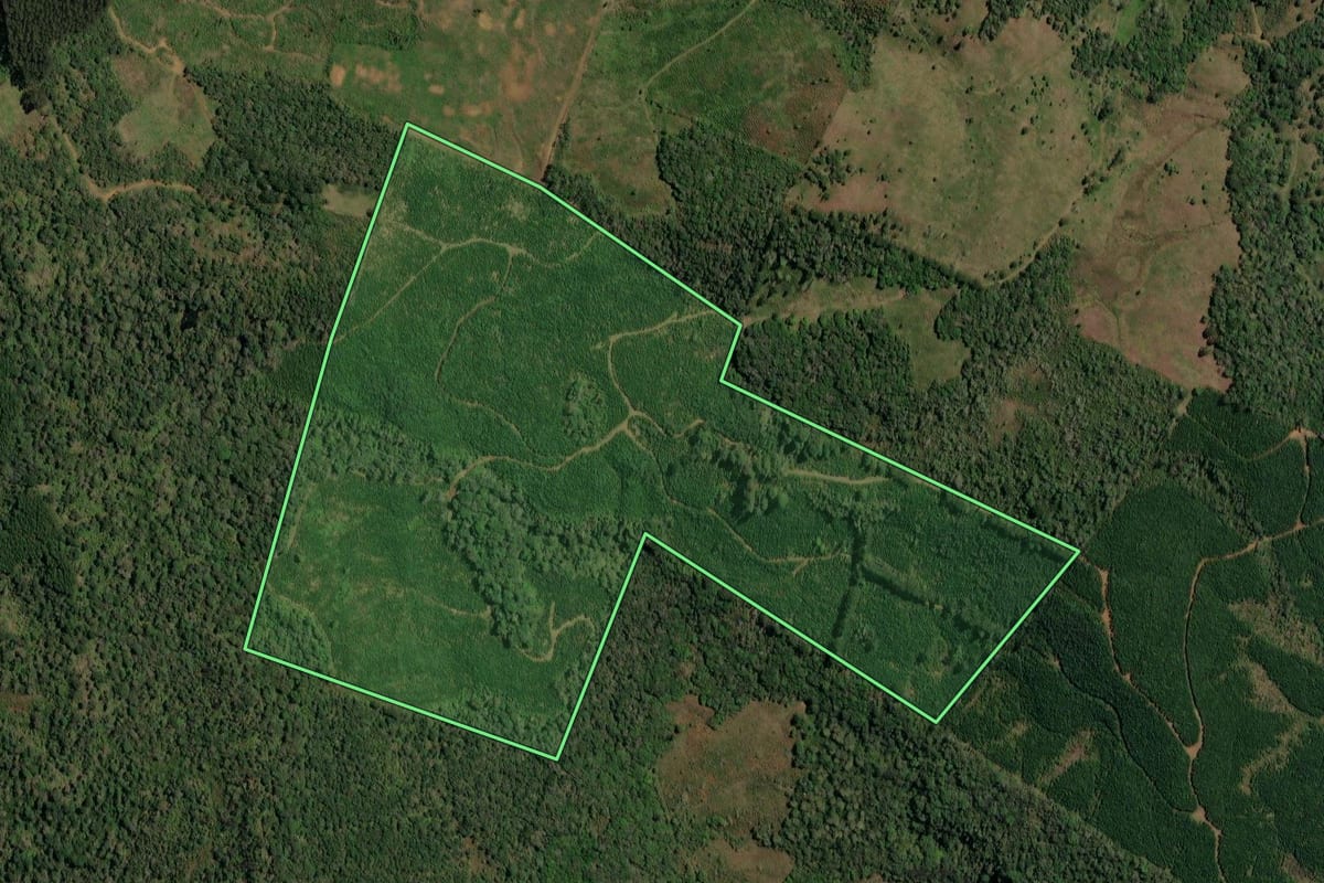 Imagem de satélite do imóvel rural em Timbó Grande (SC), com o contorno declarado no CAR desenhado por cima.