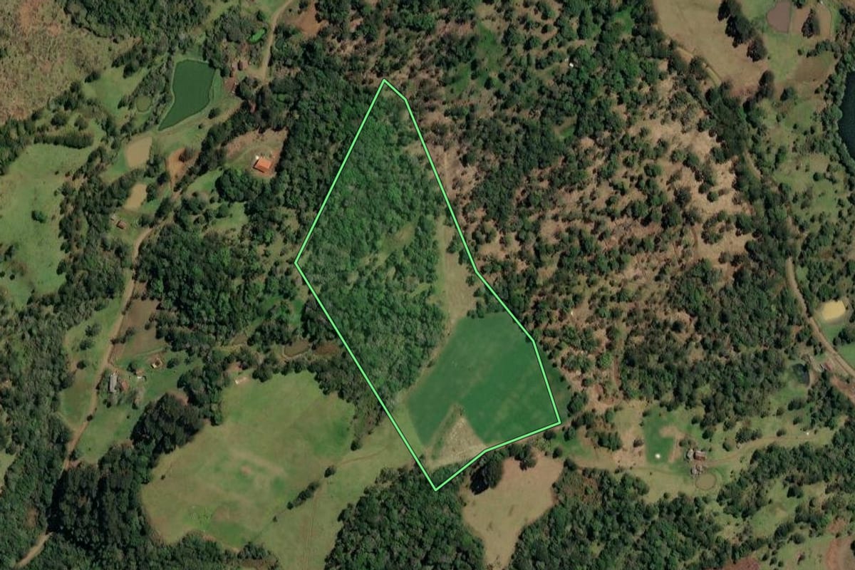 Imagem de satélite do imóvel rural em Timbó Grande (SC), com o contorno declarado no CAR desenhado por cima.