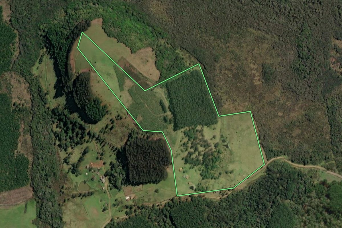Imagem de satélite do imóvel rural em Timbó Grande (SC), com o contorno declarado no CAR desenhado por cima.