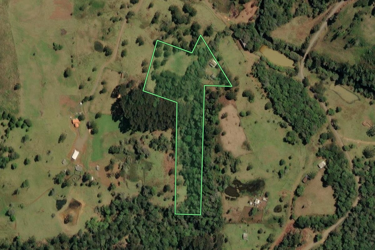 Imagem de satélite do imóvel rural em Timbó Grande (SC), com o contorno declarado no CAR desenhado por cima.