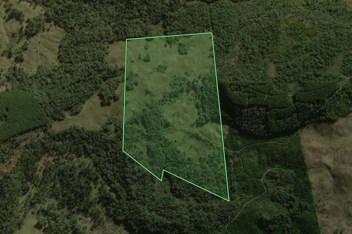 Imagem de satélite do imóvel rural em Timbó Grande (SC), com o contorno declarado no CAR desenhado por cima.
