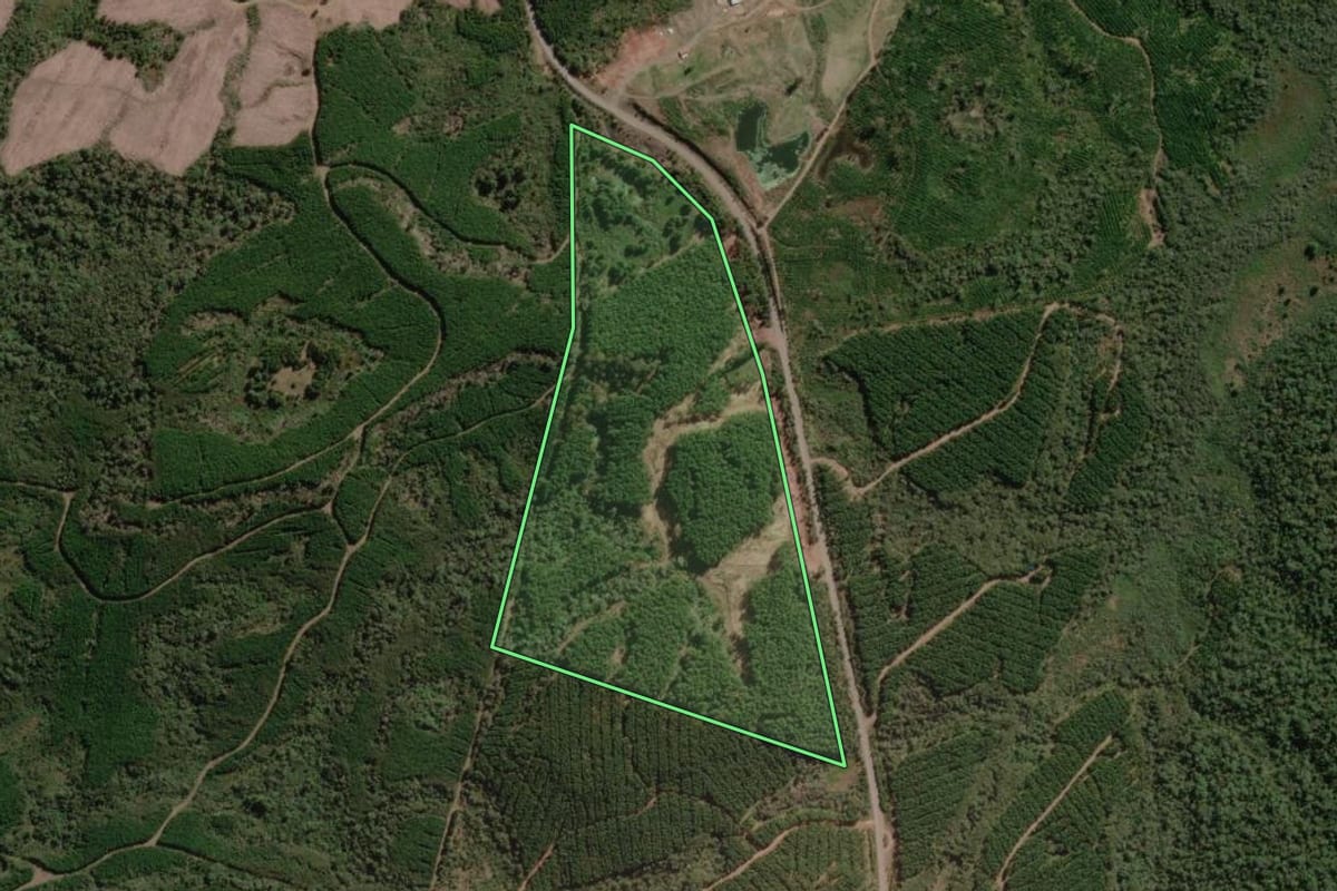 Imagem de satélite do imóvel rural em Timbó Grande (SC), com o contorno declarado no CAR desenhado por cima.