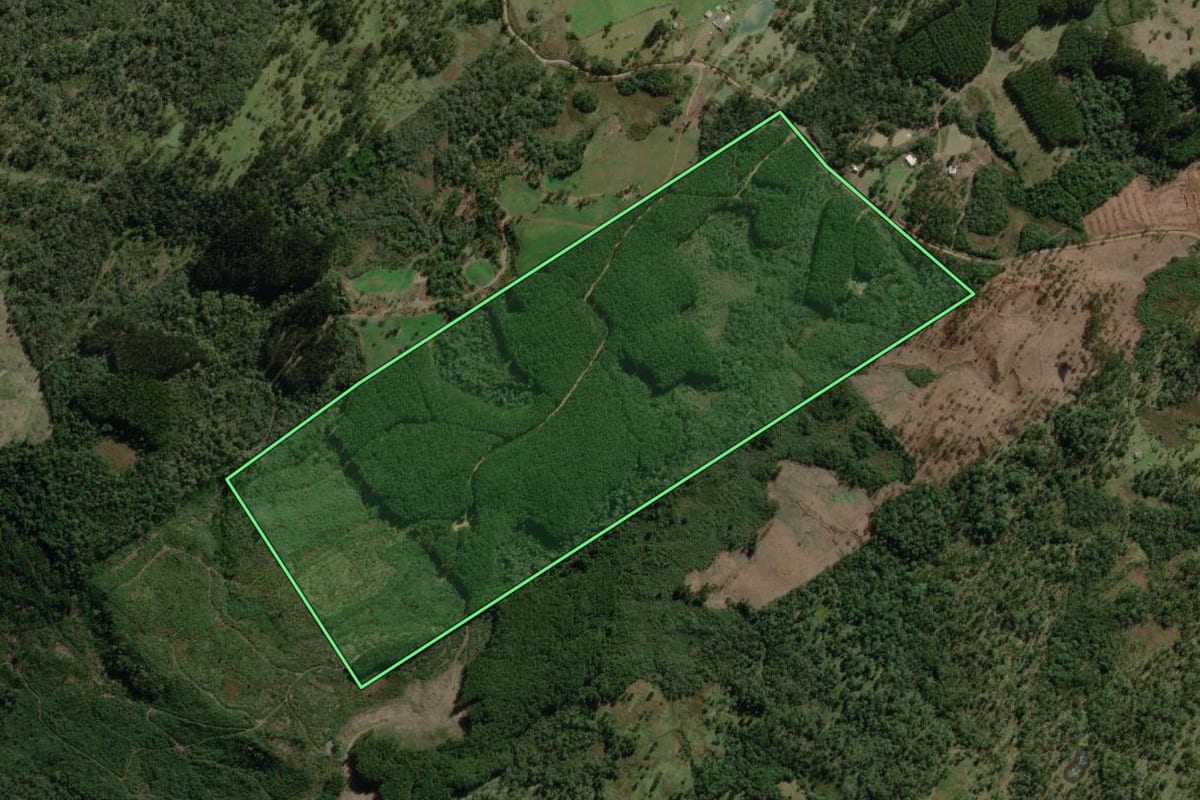 Imagem de satélite do imóvel rural em Timbó Grande (SC), com o contorno declarado no CAR desenhado por cima.