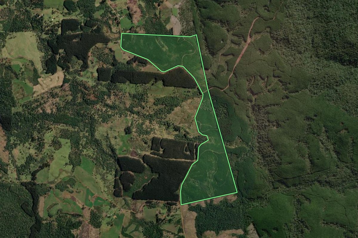 Imagem de satélite do imóvel rural em Timbó Grande (SC), com o contorno declarado no CAR desenhado por cima.