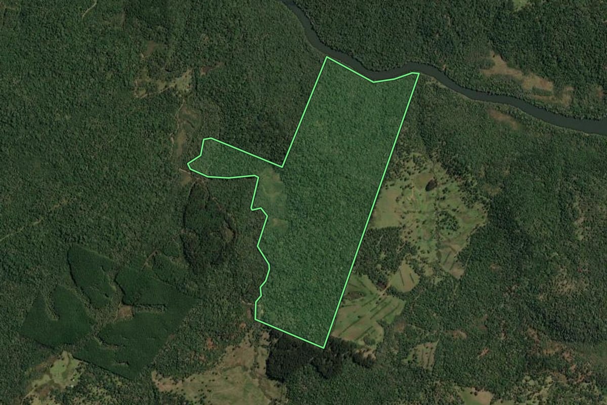 Imagem de satélite do imóvel rural em Timbó Grande (SC), com o contorno declarado no CAR desenhado por cima.