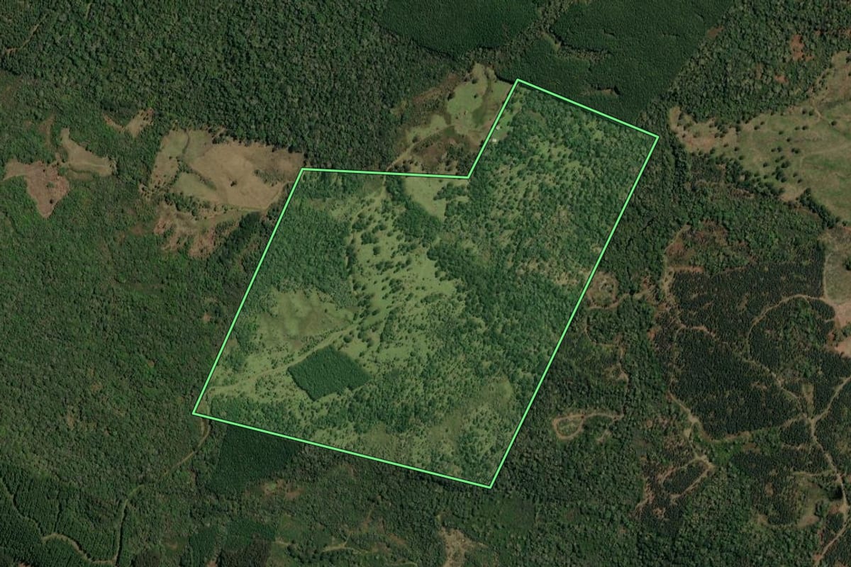 Imagem de satélite do imóvel rural em Timbó Grande (SC), com o contorno declarado no CAR desenhado por cima.