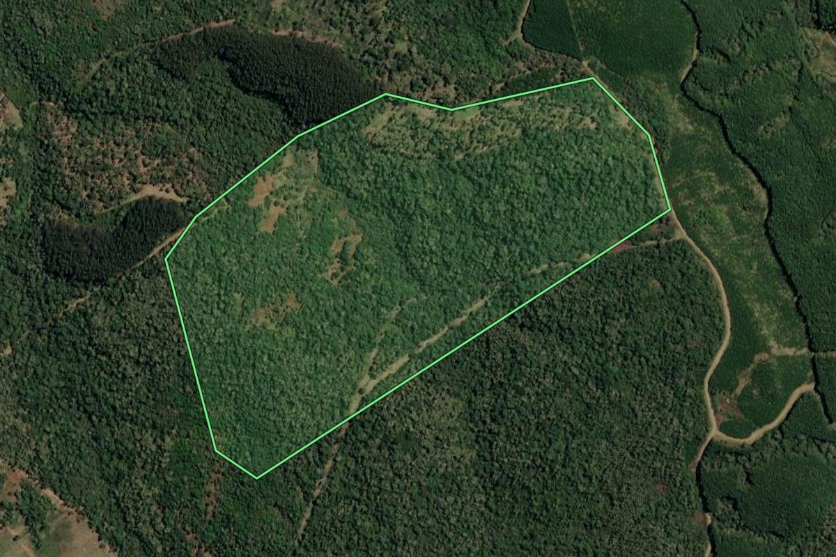 Imagem de satélite do imóvel rural em Timbó Grande (SC), com o contorno declarado no CAR desenhado por cima.