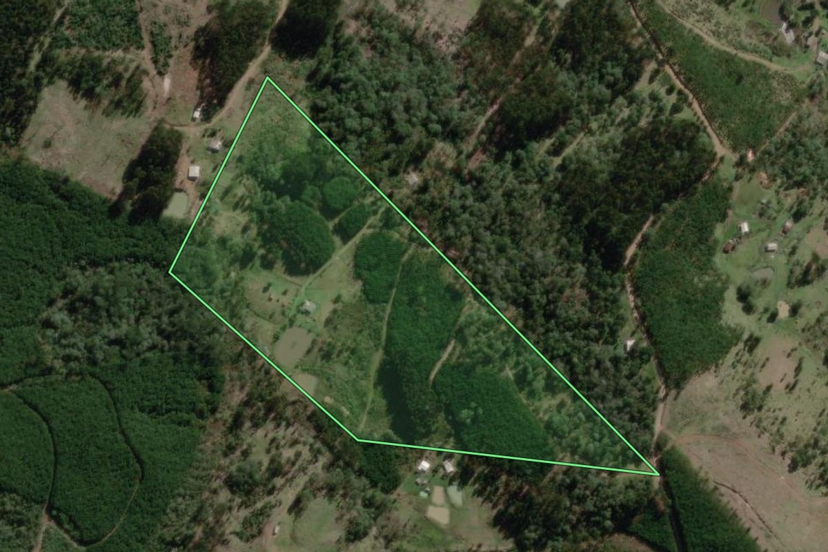 Imagem de satélite do imóvel rural em Timbó Grande (SC), com o contorno declarado no CAR desenhado por cima.