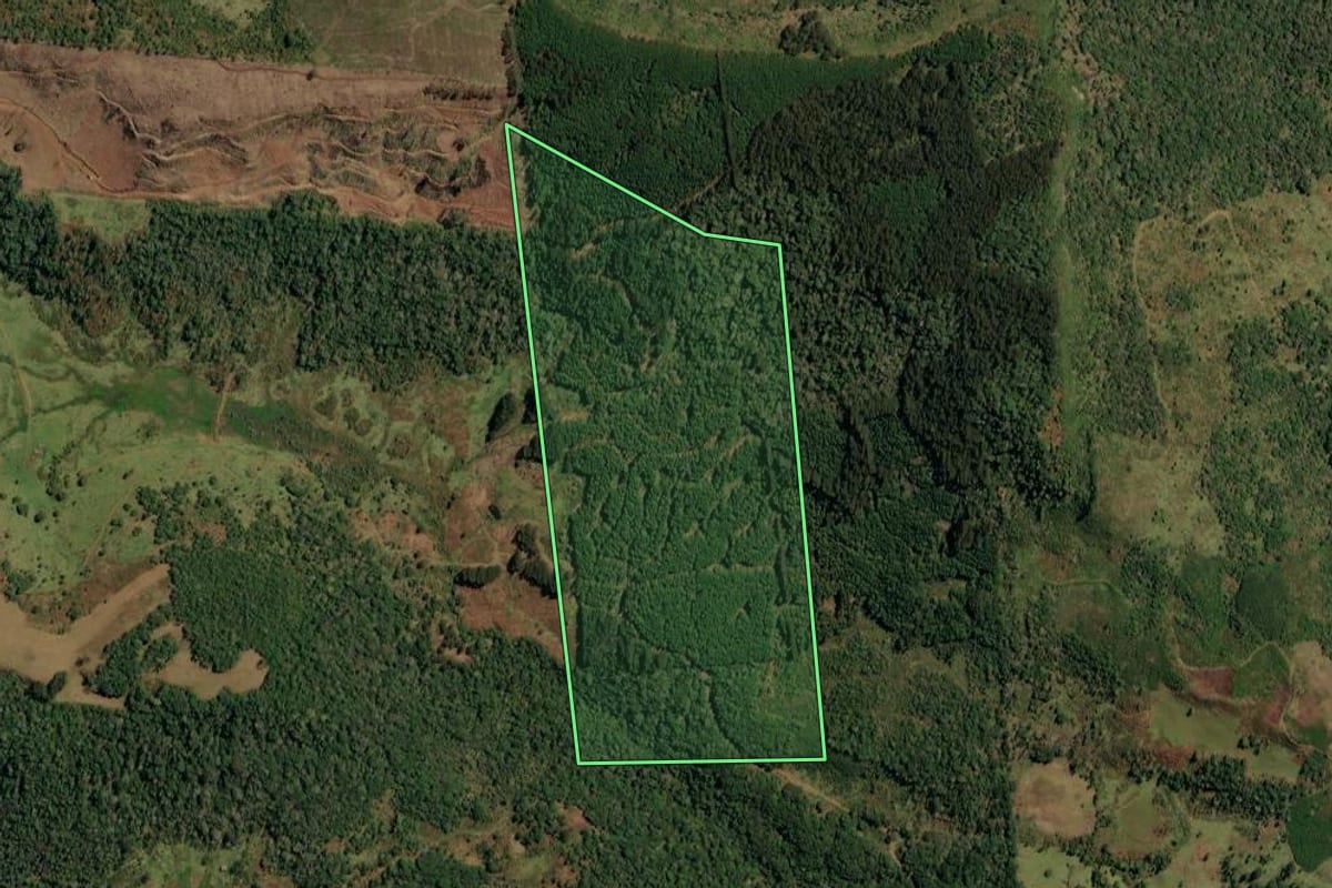 Imagem de satélite do imóvel rural em Timbó Grande (SC), com o contorno declarado no CAR desenhado por cima.