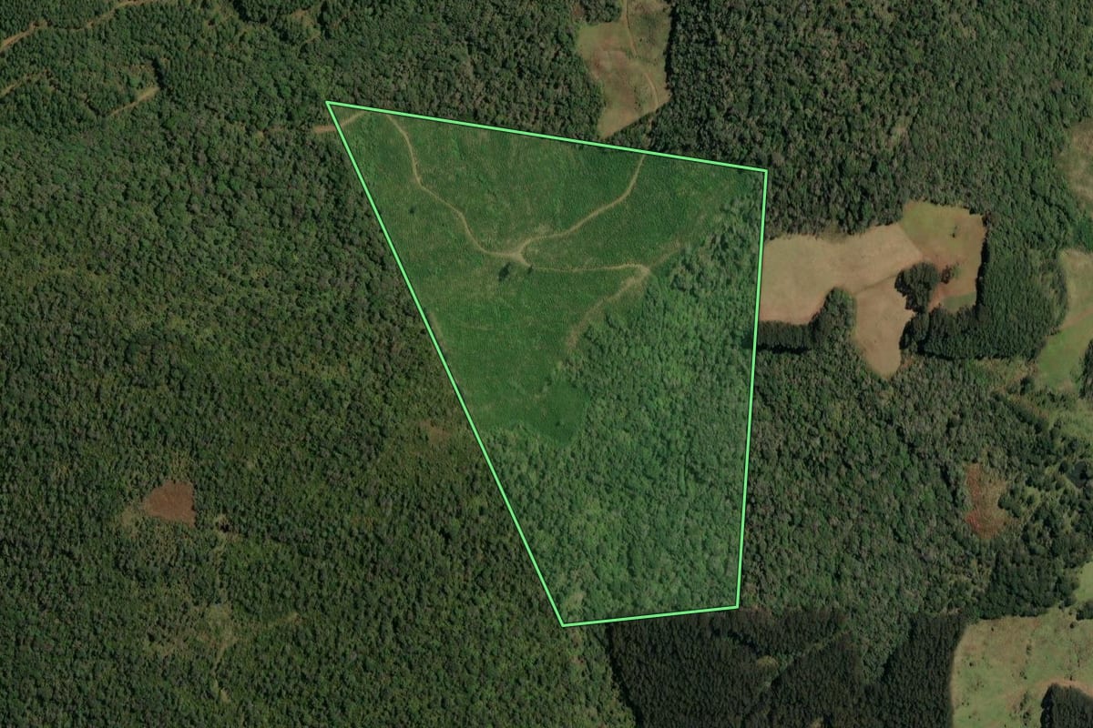 Imagem de satélite do imóvel rural em Timbó Grande (SC), com o contorno declarado no CAR desenhado por cima.
