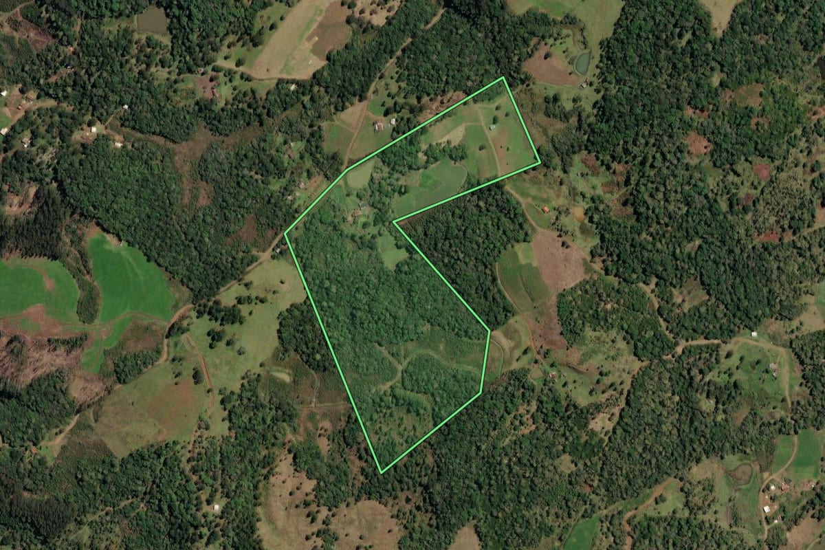 Imagem de satélite do imóvel rural em Timbó Grande (SC), com o contorno declarado no CAR desenhado por cima.