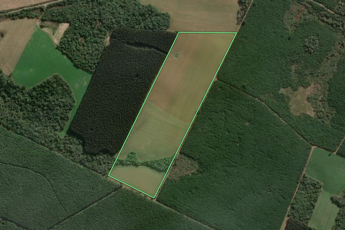 Imagem de satélite do imóvel rural em Três Barras (SC), com o contorno declarado no CAR desenhado por cima.