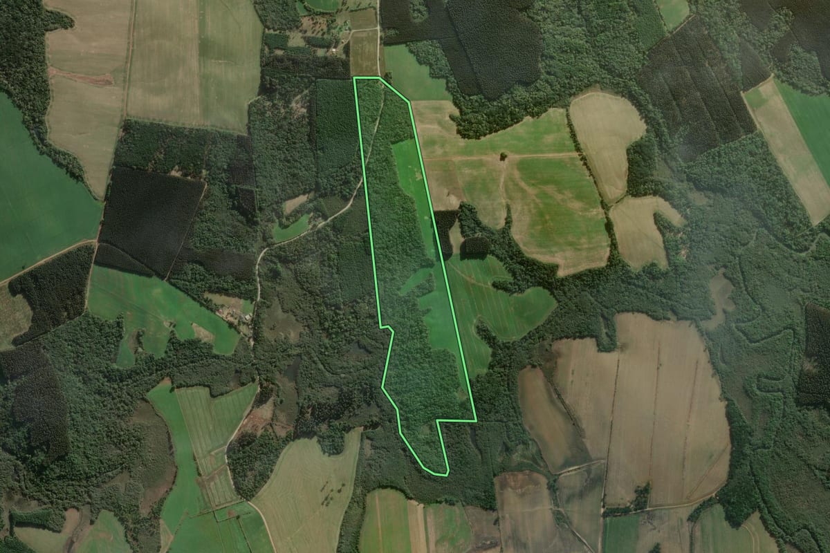 Imagem de satélite do imóvel rural em Três Barras (SC), com o contorno declarado no CAR desenhado por cima.