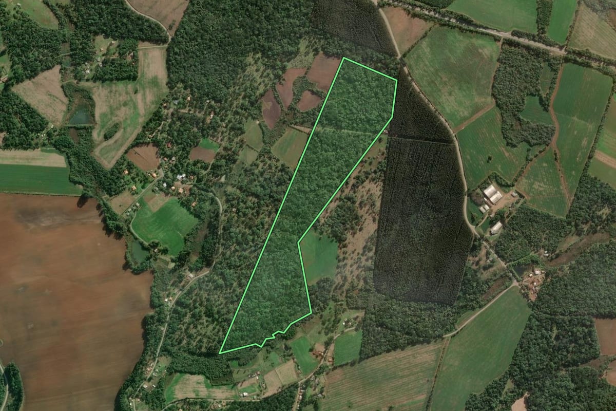Imagem de satélite do imóvel rural em Três Barras (SC), com o contorno declarado no CAR desenhado por cima.