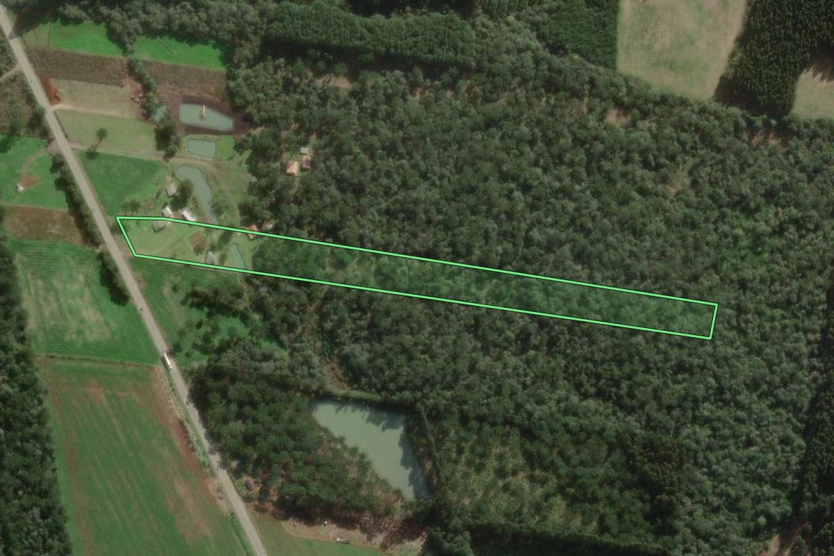 Imagem de satélite do imóvel rural em Três Barras (SC), com o contorno declarado no CAR desenhado por cima.