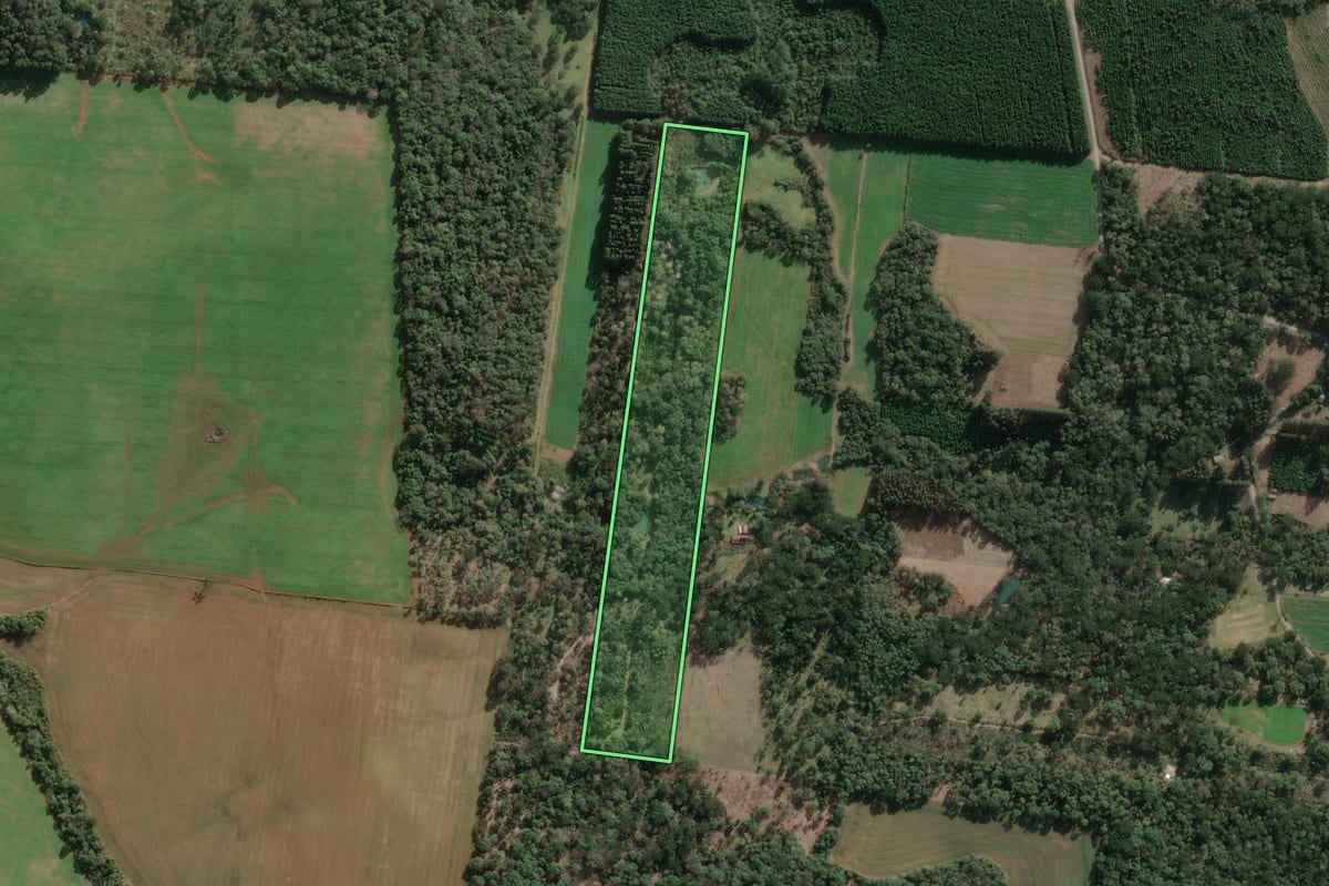Imagem de satélite do imóvel rural em Três Barras (SC), com o contorno declarado no CAR desenhado por cima.