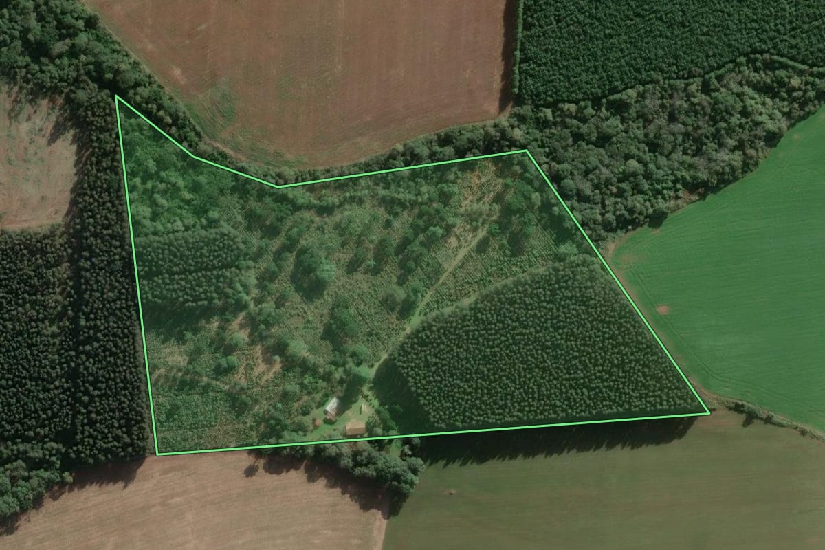 Imagem de satélite do imóvel rural em Três Barras (SC), com o contorno declarado no CAR desenhado por cima.