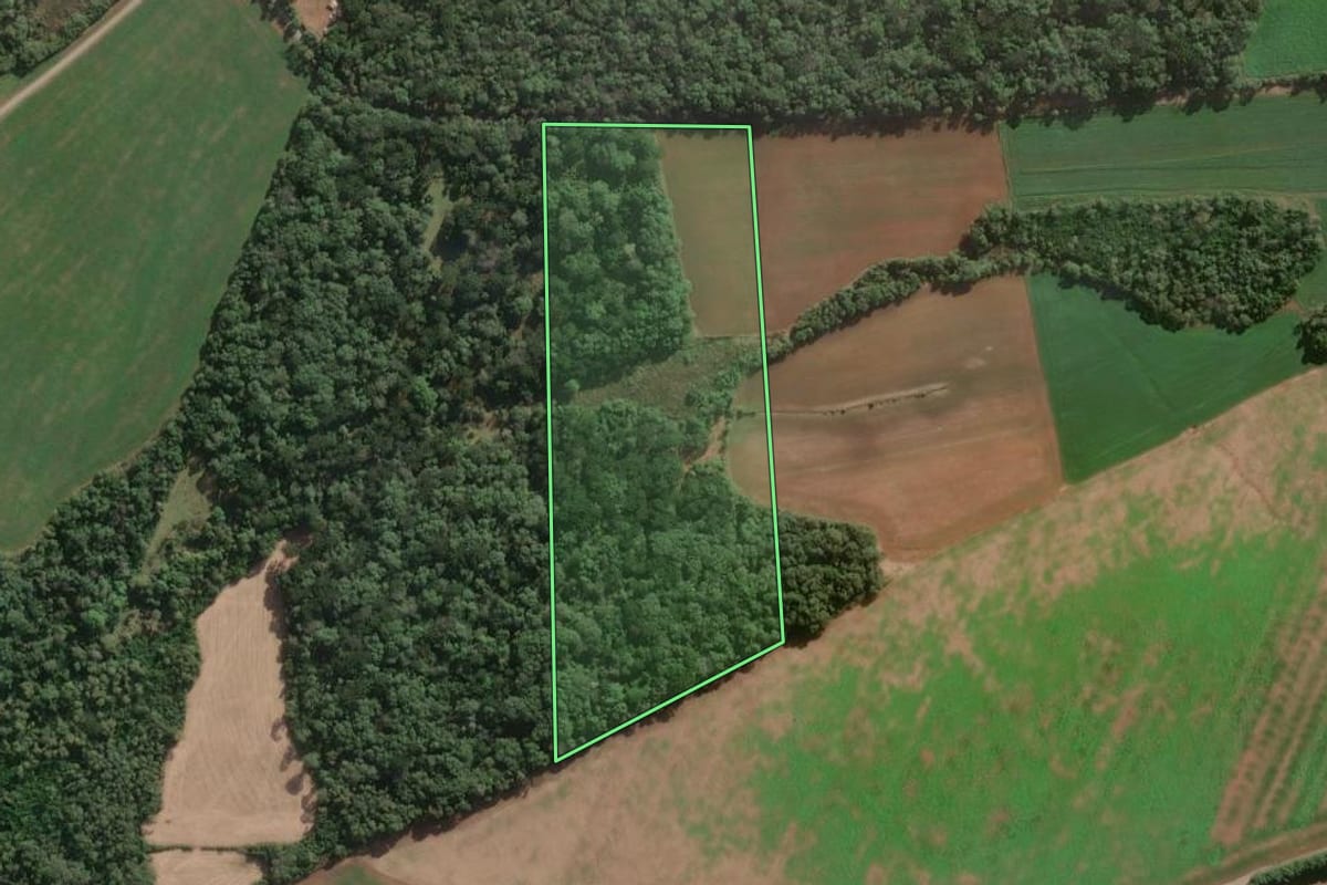 Imagem de satélite do imóvel rural em Três Barras (SC), com o contorno declarado no CAR desenhado por cima.