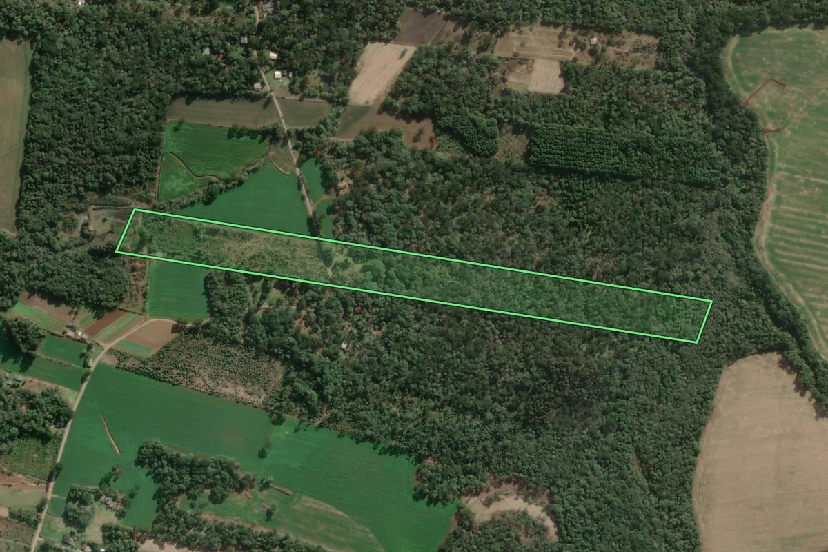 Imagem de satélite do imóvel rural em Três Barras (SC), com o contorno declarado no CAR desenhado por cima.
