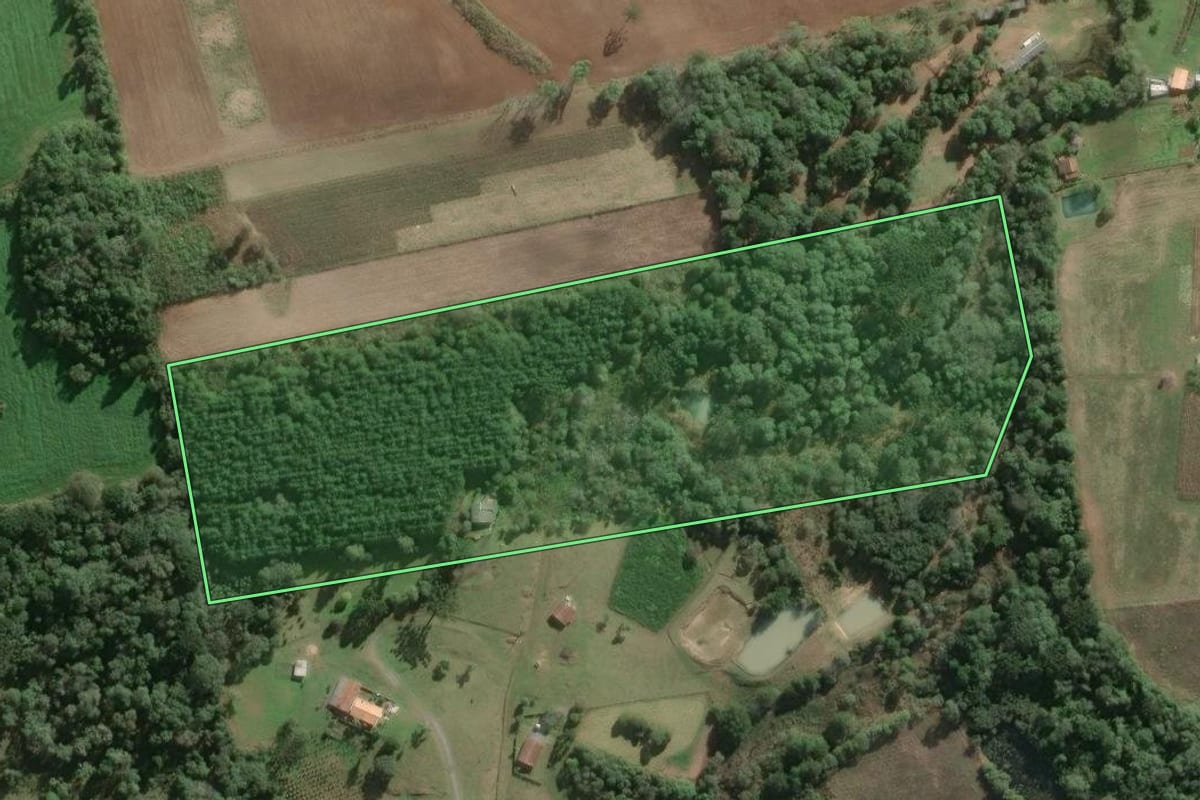 Imagem de satélite do imóvel rural em Três Barras (SC), com o contorno declarado no CAR desenhado por cima.