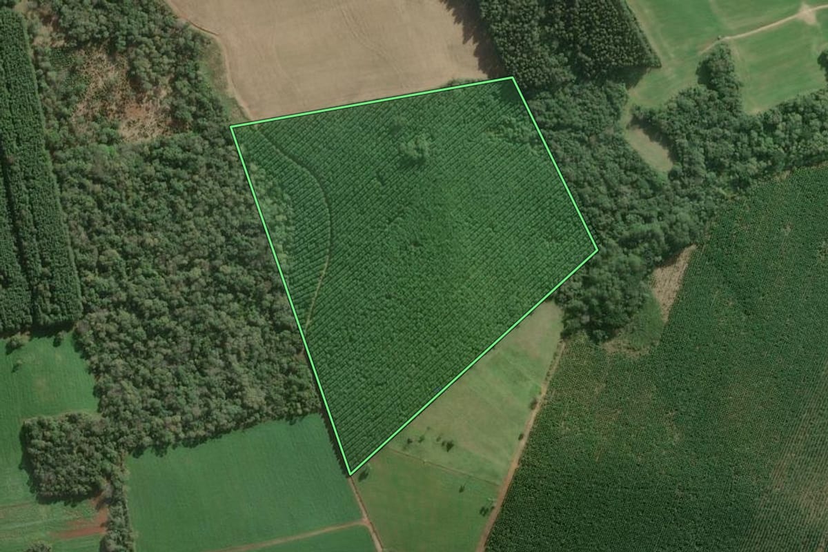 Imagem de satélite do imóvel rural em Três Barras (SC), com o contorno declarado no CAR desenhado por cima.