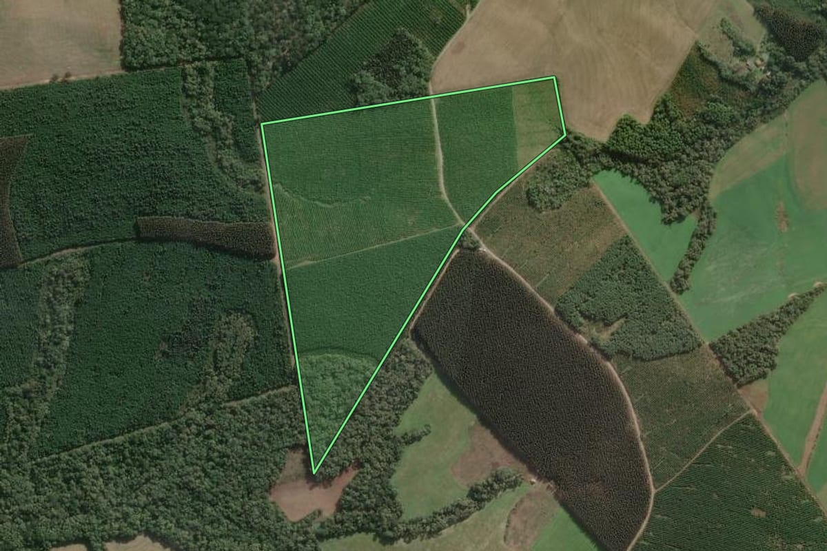 Imagem de satélite do imóvel rural em Três Barras (SC), com o contorno declarado no CAR desenhado por cima.