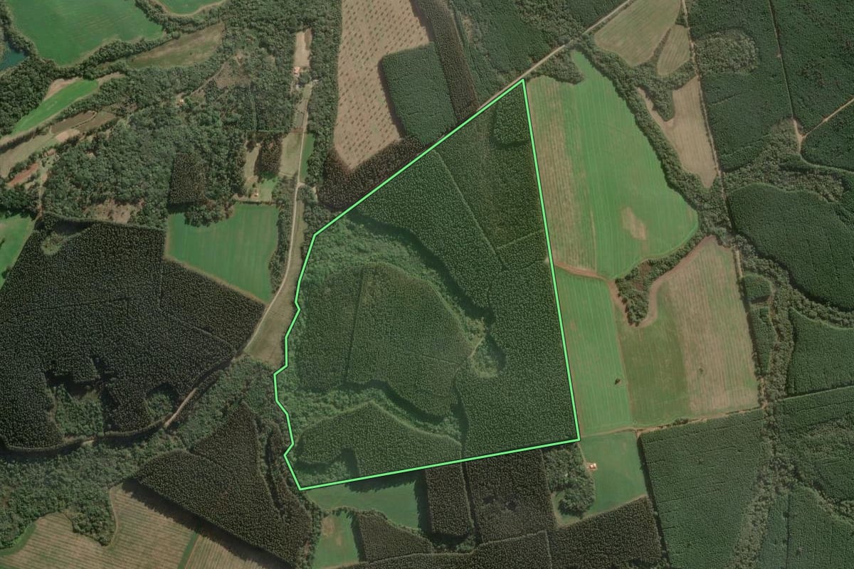 Imagem de satélite do imóvel rural em Três Barras (SC), com o contorno declarado no CAR desenhado por cima.
