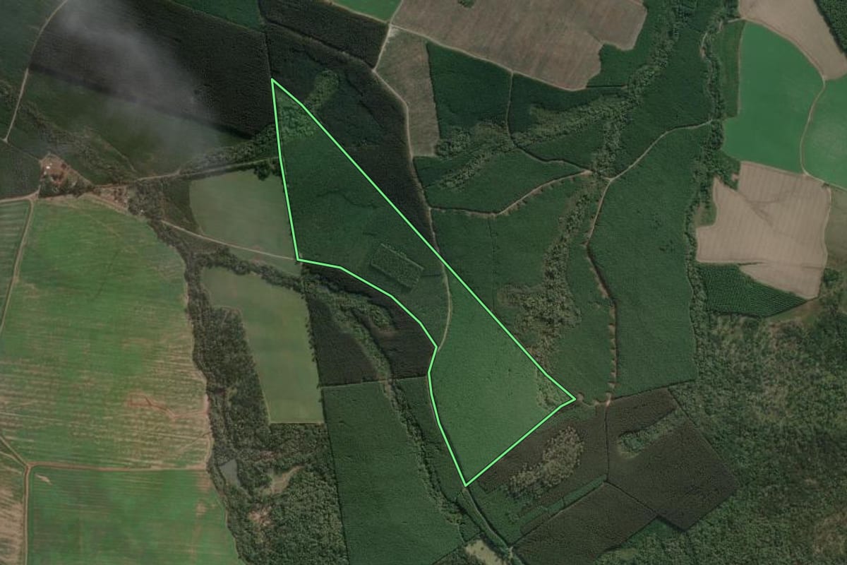 Imagem de satélite do imóvel rural em Três Barras (SC), com o contorno declarado no CAR desenhado por cima.
