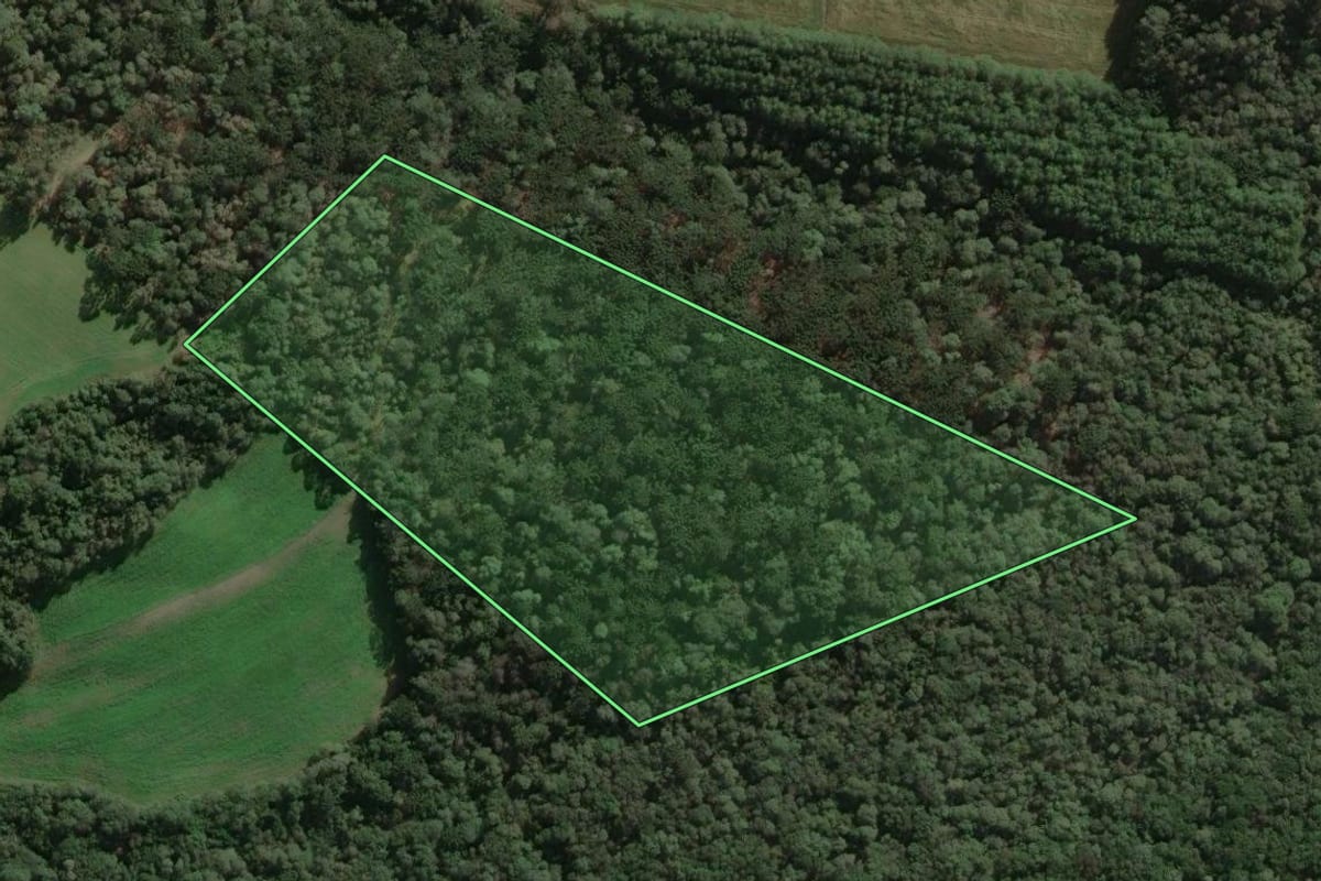 Imagem de satélite do imóvel rural em Três Barras (SC), com o contorno declarado no CAR desenhado por cima.