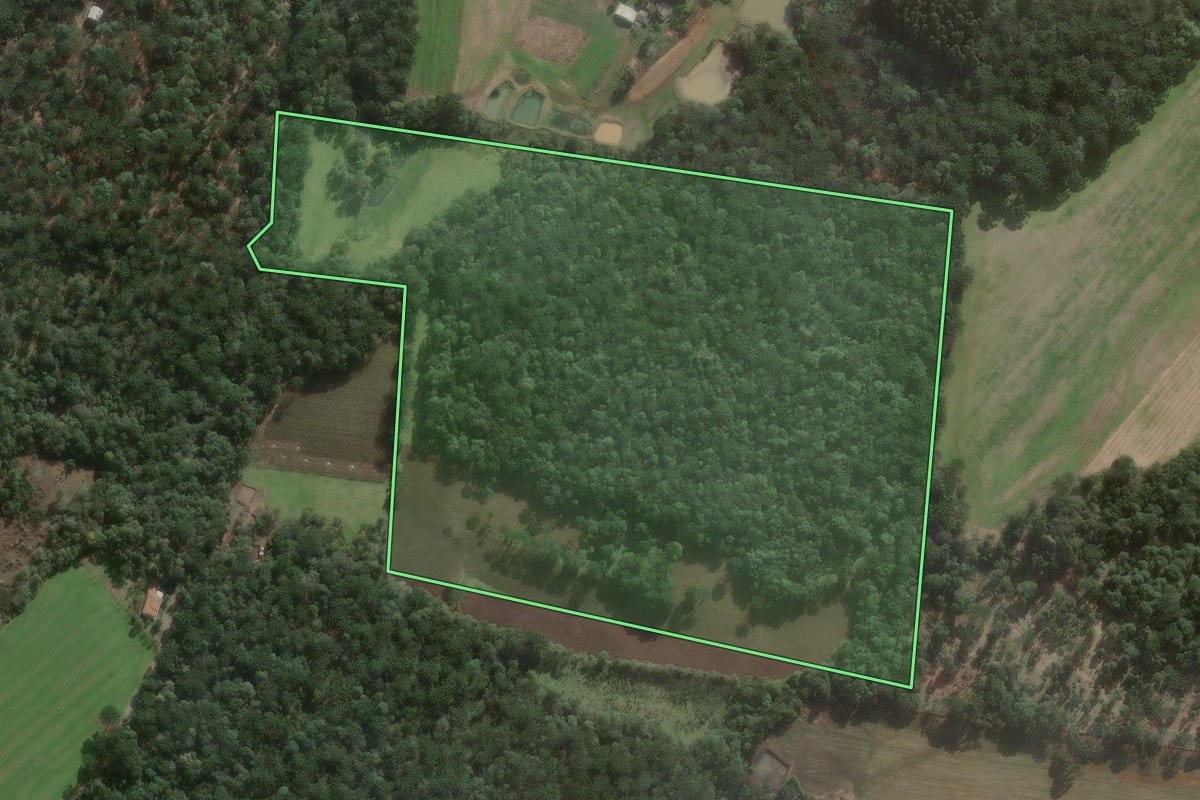 Imagem de satélite do imóvel rural em Três Barras (SC), com o contorno declarado no CAR desenhado por cima.