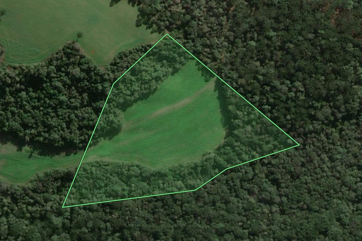 Imagem de satélite do imóvel rural em Três Barras (SC), com o contorno declarado no CAR desenhado por cima.