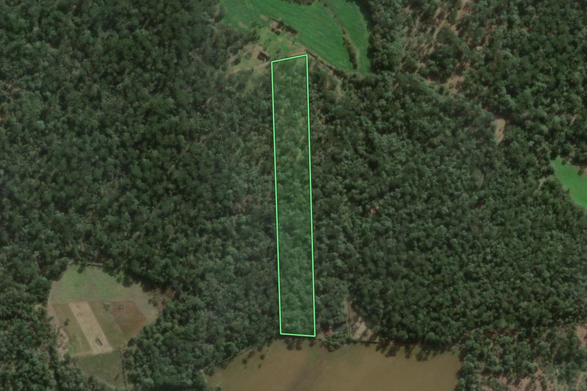 Imagem de satélite do imóvel rural em Três Barras (SC), com o contorno declarado no CAR desenhado por cima.